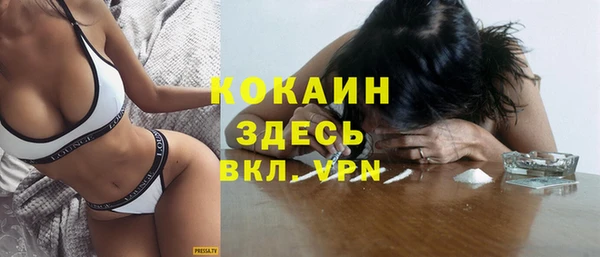 кокс Ельня