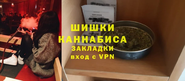 кокс Ельня
