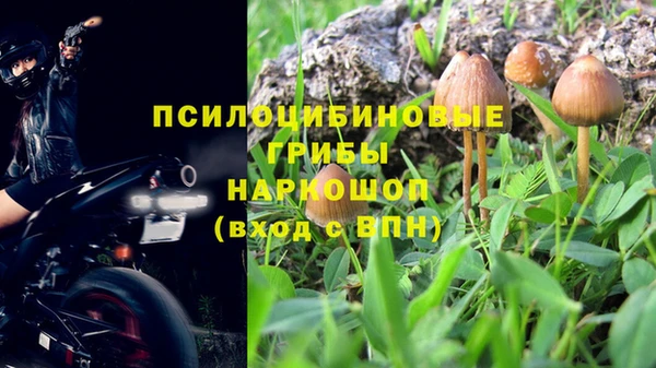 соль ск Заводоуковск