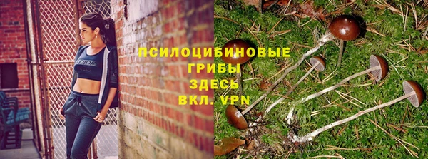 кокс Ельня
